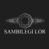 Logo Padukuhan Sambilegi Lor