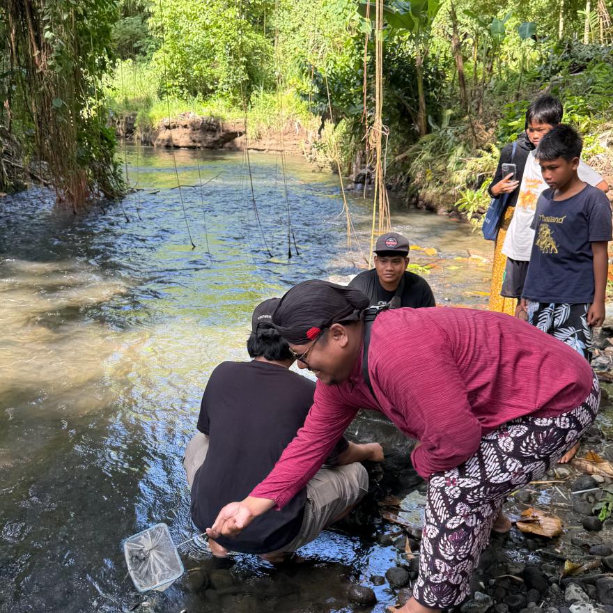 DINAS PARIWISATA DAN UGM MELAKUKAN PELEPASAN BIBIT IKAN TAWES DI SUNGAI KALI KUNING MODINAN
